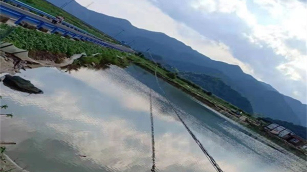 开云官方网址|开云中国欣网|欣网通信