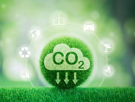 开云官方网址|开云中国欣网|欣网通信