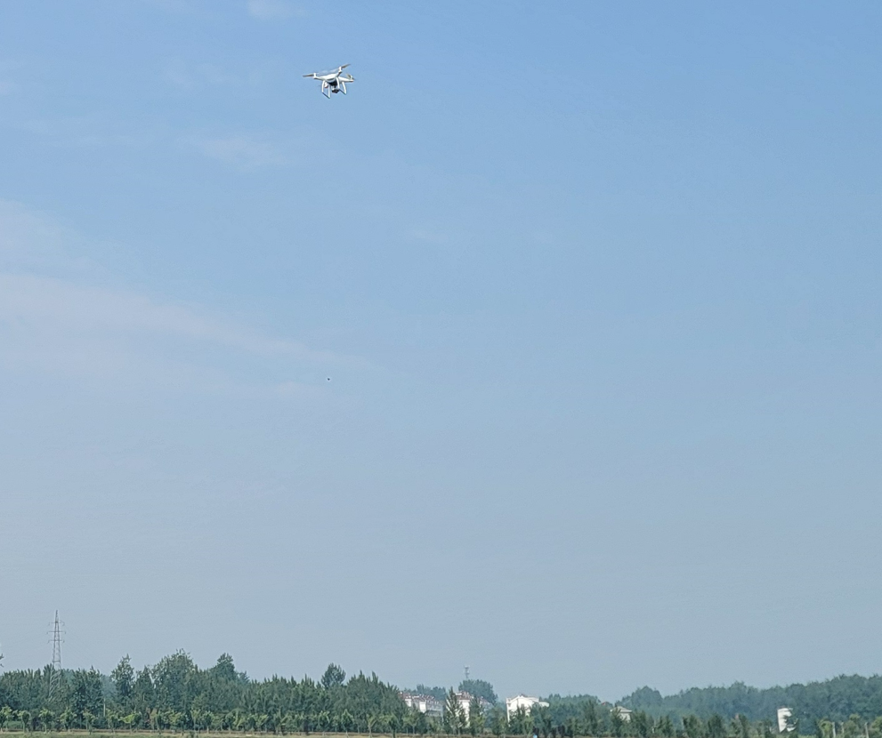 开云官方网址|开云中国欣网|欣网通信